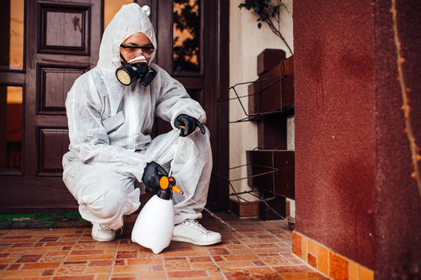 Reliable Wasp Removal contractor in Paramount-Long Meadow, MD by Show Me Pest Control